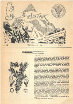 swistak199310 swistak199310